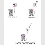 Преемственность поколений
