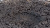 Two servicemen killed in Donbas, blown up by explosive device – JFO HQ. PHOTO