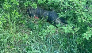 Воїни 57-ї бригади знищили групу російських військовослужбовців, капітана Юрія Дорохова та лейтенанта Едуарда Саіжеєва. ФОТОрепортаж 18+