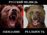 Ожидание и реальность