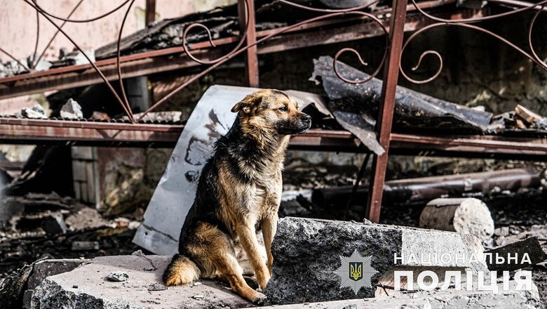 Одна людина загинула внаслідок обстрілу рашистами Покровська, - Нацполіція 06 Одна людина загинула внаслідок обстрілу рашистами Покровська, - Нацполіція 06