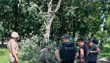 білопілля