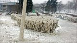 По Киеву и Киевской области объявлено штормовое предупреждение