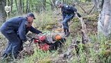 Украинские деминеры пройдут подготовку в Ливане