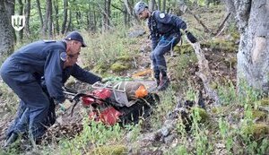 Украинские специалисты по разминированию пройдут подготовку в Ливанском центре противоминной деятельности, - Минобороны. ФОТО