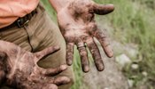 В Україні хочуть ліквідувати поняття фермерського господарства