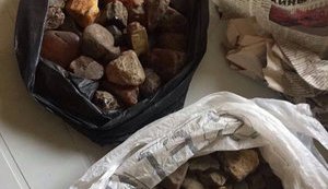 Police seized one ton of amber in Volyn region. PHOTOS