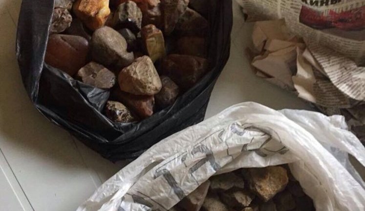 Police seized one ton of amber in Volyn region. PHOTOS