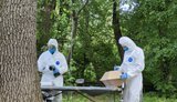 Эксгумация жертв Волынской трагедии в Тернопольской области
