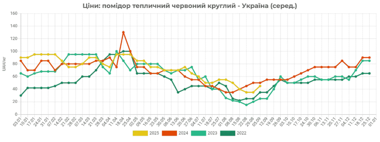 помідори,томати