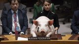 Офіціійний представник