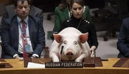Офіціійний представник