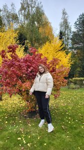 Цензор.НЕТ Зображення