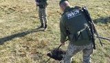 На границе в Одесской области обнаружили трубопровод для прокачки спирта из Приднестровья. ВИДЕО