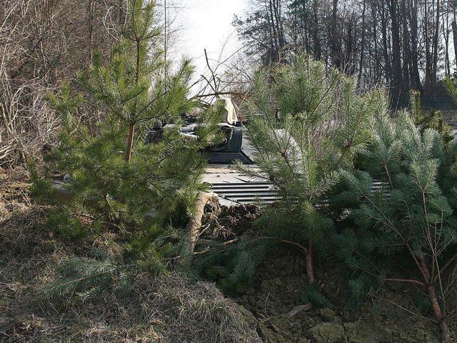 армия учения военные