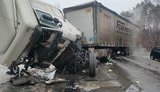 Водій вантажівки, порушивши ПДР, виїхав на "зустрічку" та допустив зіткнення, - Монастирський про смертельну ДТП з маршруткою на Чернігівщині. ВIДЕО