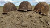 Останки трех солдат, погибших в 1941 году, обнаружили на Житомирщине. ФОТОрепортаж