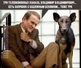 ... все что украдено непосильным трудом