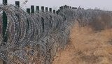 Колючая проволока и камеры: На границе с РФ построили сто километров забора. ФОТО