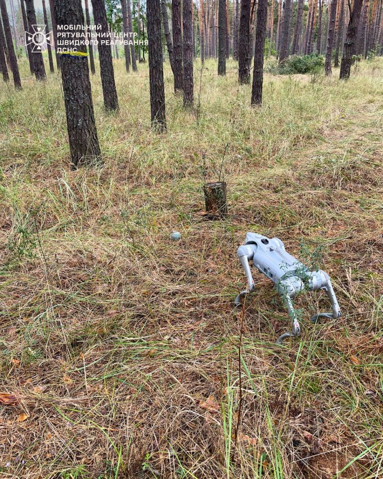 Elements of cluster munitions were found in the Kyiv region after shelling