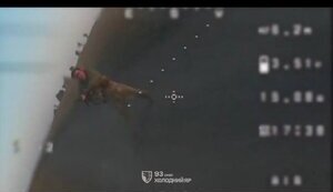 93 ОМБр "Холодный Яр" зачистила и взяла под контроль Грузское и Веселое недалеко от Доброполья. ВIДЕО