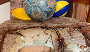 Діти з Вишневого, яких відправили до "Артеку" після обстрілу РФ, скаржаться на умови в таборі: прокуратура проводить перевірку. ФОТОрепортаж