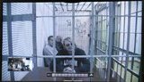 богатов