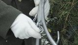 Азарова защитили от атаки венка, который когда-то "накинулся" на Януковича. ФОТОрепортаж