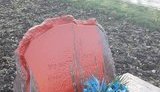 Вандали в Одесі облили фарбою символічний камінь на місці майбутнього пам