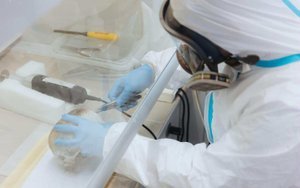 днк,експертиза