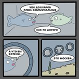 Десь у підводному світі...