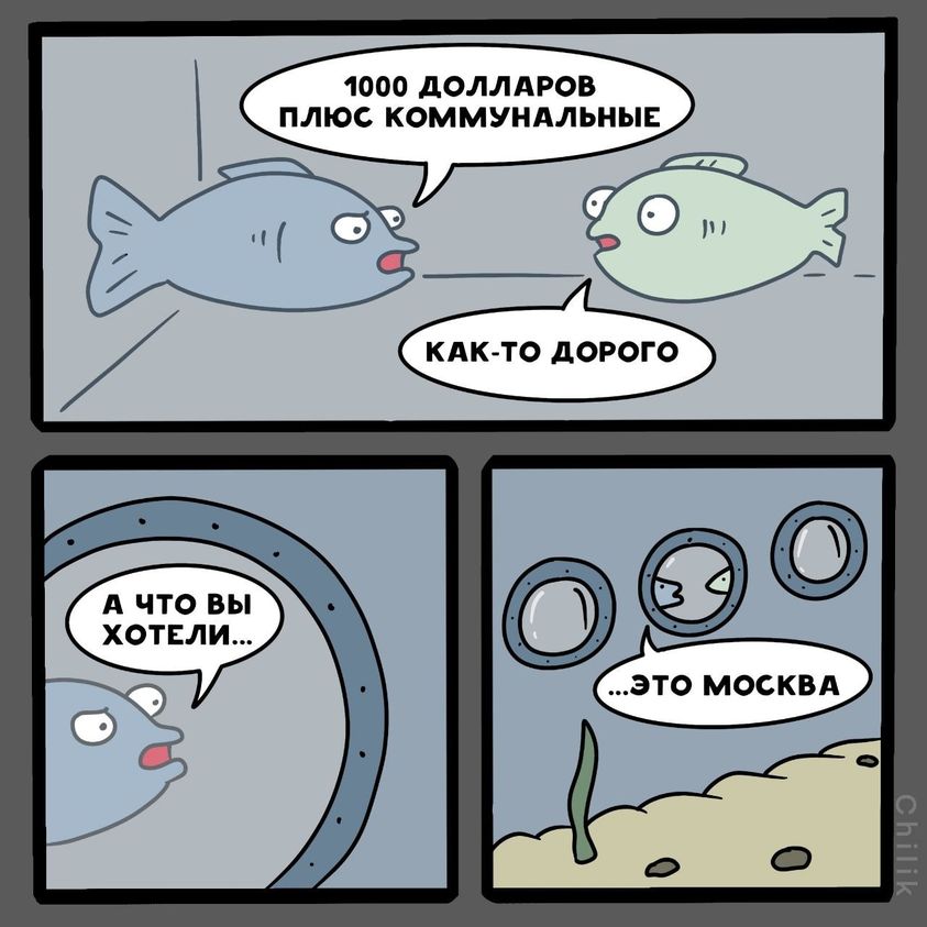 Десь у підводному світі...