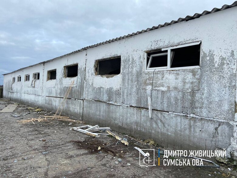 Россияне обстреляли ферму в Сумской области: погибли животные 07