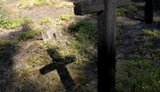 Експедиція із пошуку жертв Волинської трагедії повідомила про виявлені нові останки