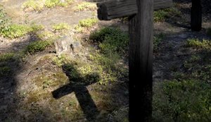 На Волині знайшли нові останки жертв Волинської трагедії - що відомо про поховання