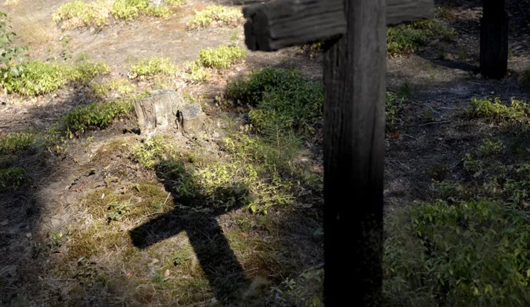 На Волині знайшли нові останки жертв Волинської трагедії - що відомо про поховання