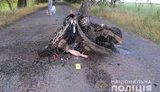 Легковушка вылетела за пределы дороги и врезалась в дерево на Черниговщине, погибли два человека, - Нацполиция. ФОТОрепортаж