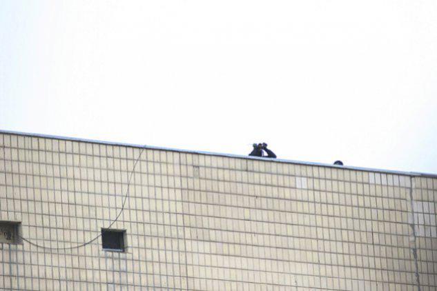 Цензор.НЕТ Изображение