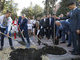 тимошенко