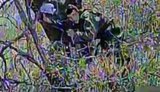 Окупант розмахував прапором РФ і привернув увагу пілотів 429-ї бригади "Ахіллес", які його ліквідували. ВIДЕО