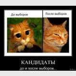 Трансформация сознания
