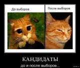 Трансформация сознания