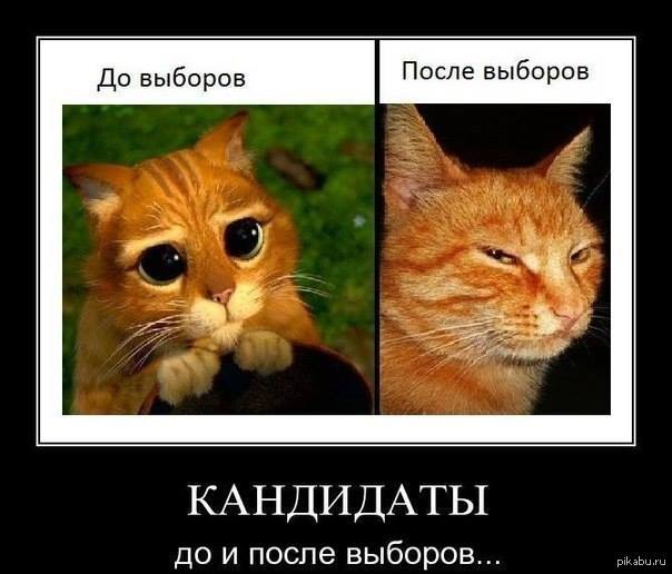 Трансформация сознания