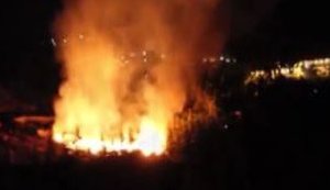 Власти аннексированного Крыма пытались скрыть пожар в "Артеке". ВИДЕО