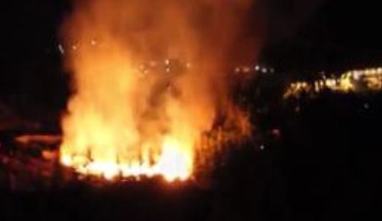 Власти аннексированного Крыма пытались скрыть пожар в "Артеке". ВИДЕО