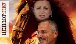 Боевой конь деда Шустера