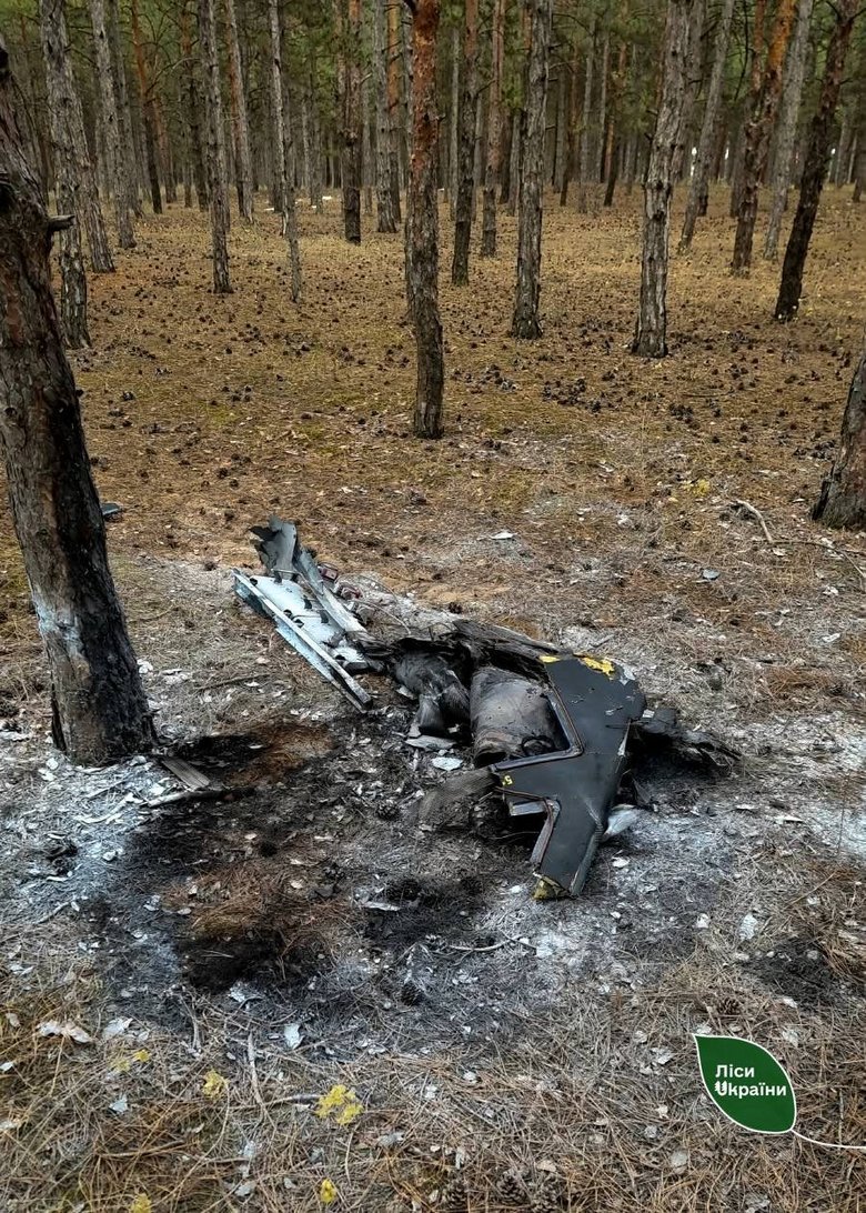 Російські БПЛА, КАБи та FPV-дрони спричинили пожежі на 42 га лісів України