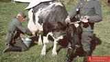 "Не будут брать, отключим воду" и Новая мечта Королевской. Свежие ФОТОжабы от Цензор.НЕТ