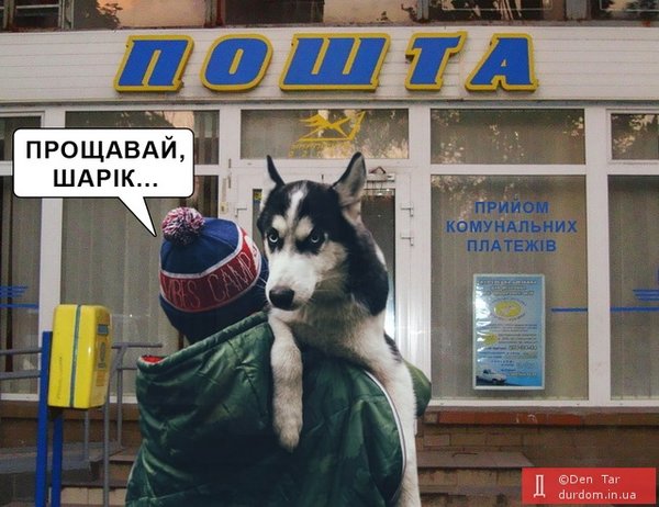 Прощай, Шарик... Пришли из облгаза! Мудрый совет Слуги народа в ФОТОжабах 07