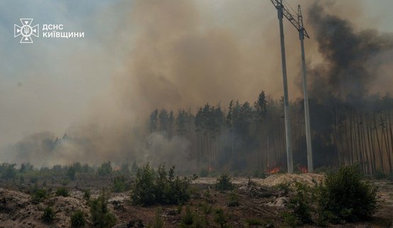 Пожежу на 130 га в Чорнобильській зоні ліквідовано: рятувальники стримують ще три осередки вогню. ФОТОрепортаж